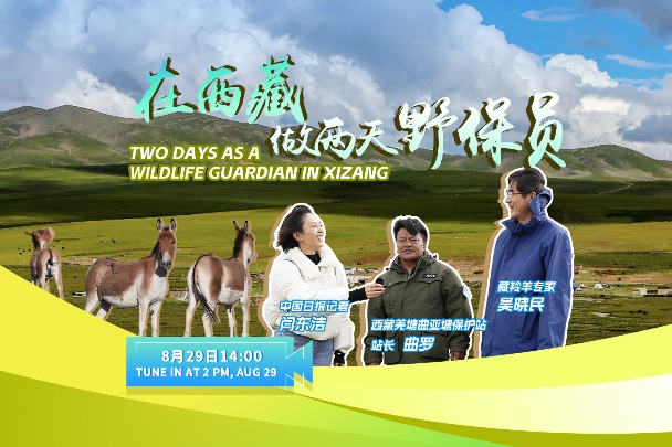 Watch it again: Two days as a wildlife guardian in Xizang