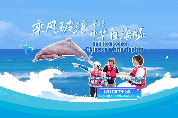 Live: Sail to discover Chinese white dolphins