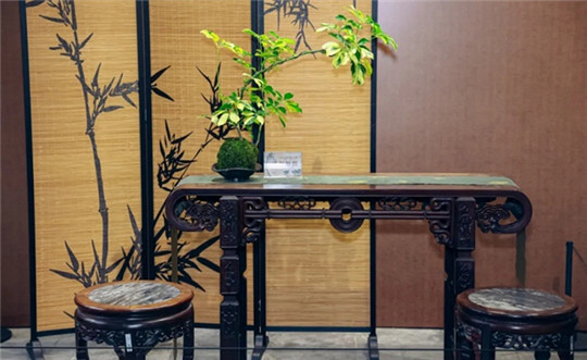 Chinese cultural relics on display at Wenyuan Lane