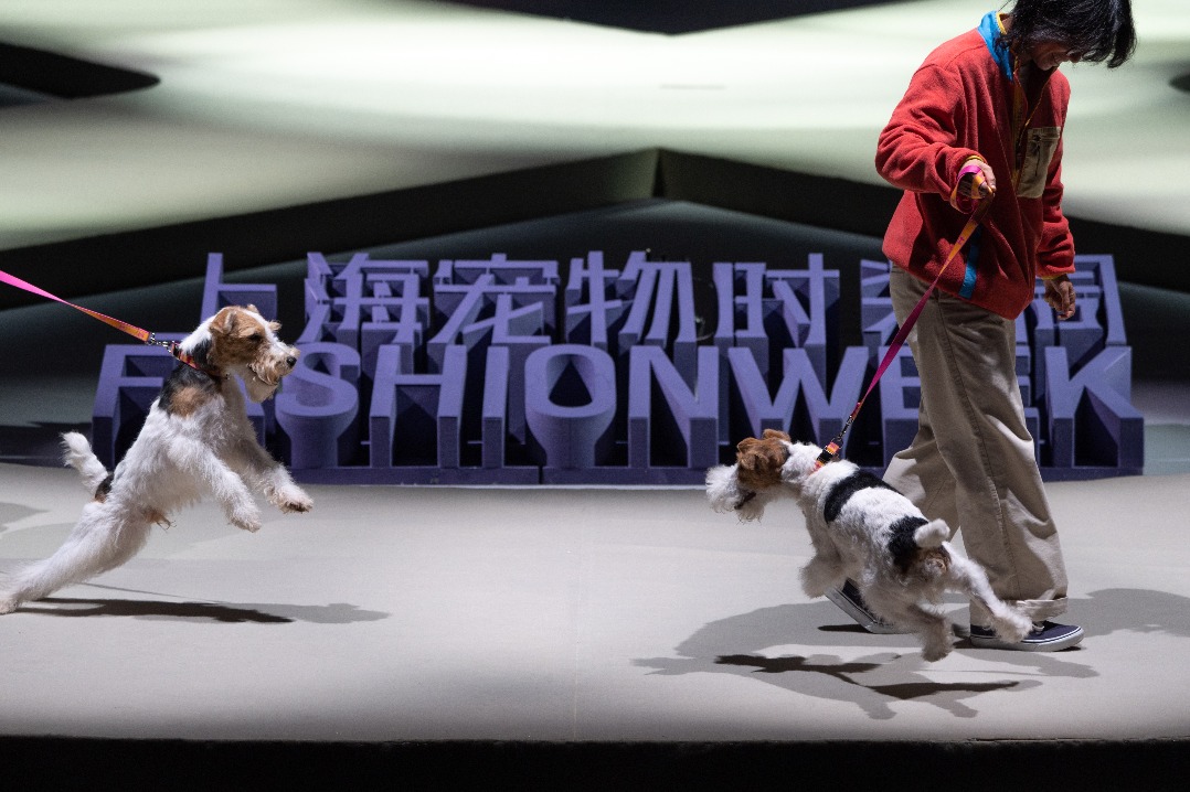 2024 Pet Fashion Week kicks off in Shanghai