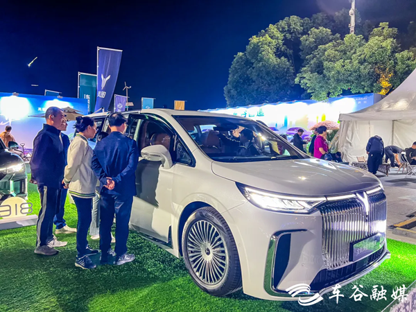 Wuhan launches auto consumption event