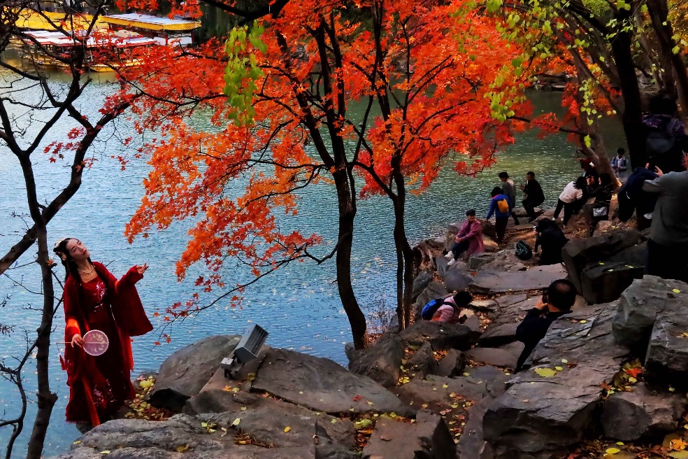 Beijing: Vibrant autumn sceneries enrich the city