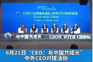 "CEO: Grow with China" roundtable held in Tianjin