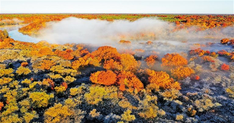 Enchanting autumn splendor unveiled in Inner Mongolia