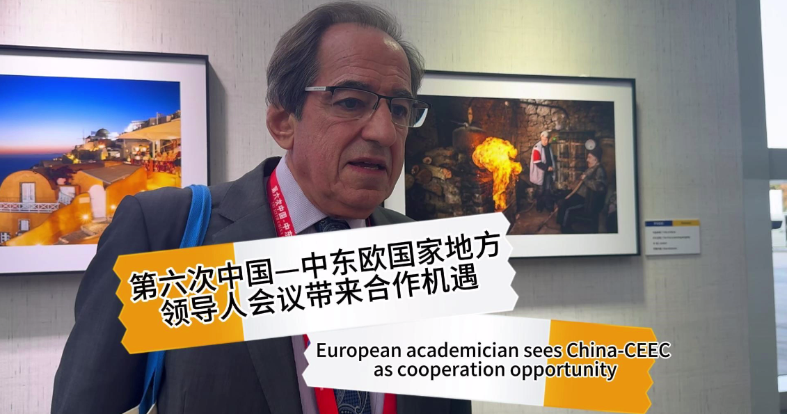 European academician sees China-CEEC as cooperation opportunity