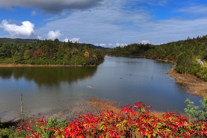 Natural oxygen bar of Luohanba primeval forest