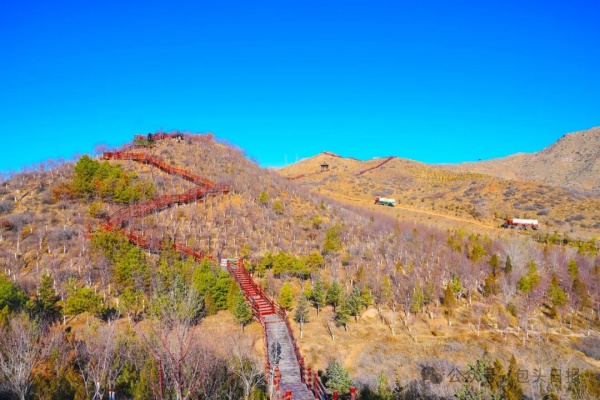 Baotou builds ecologically vibrant city