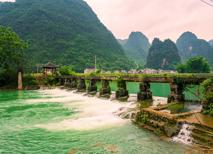 Guangxi's 1st batch of forestry carbon credits issued in Hechi