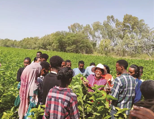 Hechi expert brings silk farming technology to Ethiopia