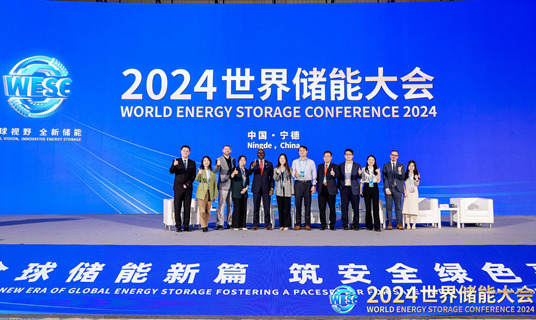 Conference in Ningde focuses on energy storage and China's zero-carbon future