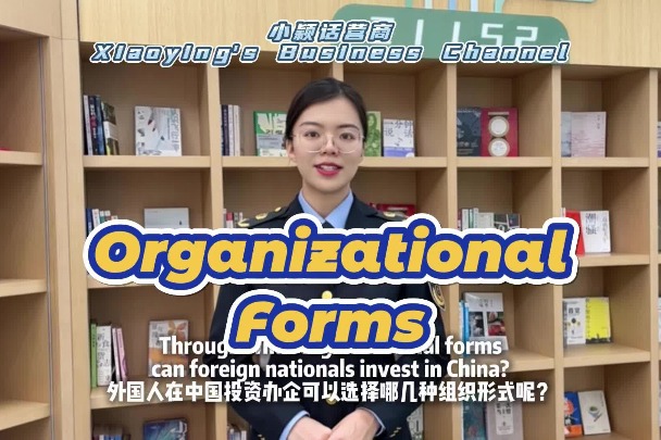 Organizational form options for foreign investors, Ep 05