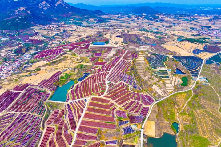 Picturesque aerial view of Shandong’s countryside