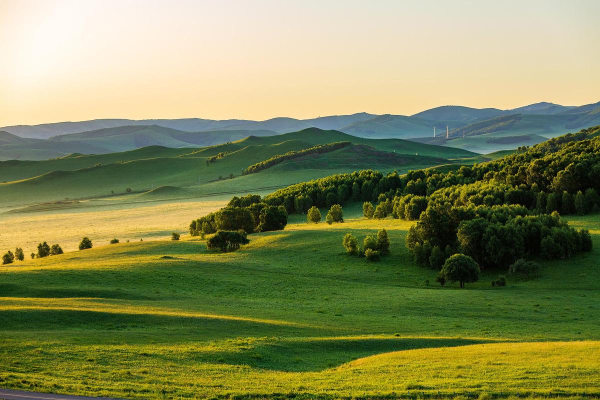 Inner Mongolian digitalized grassland practices selected as FAO case