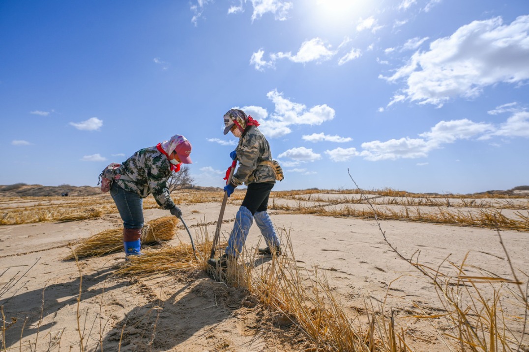 China takes leading role globally to combat desertification