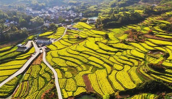 Ningbo unveils inaugural biodiversity scenic route