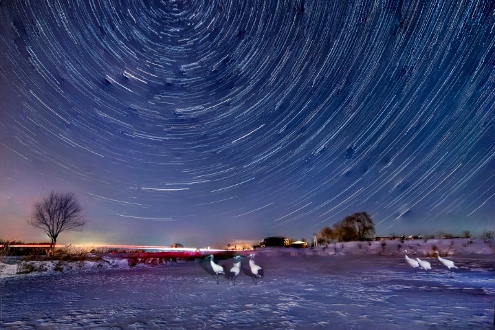 Stunning starry sky of Zhalong Nature Reserve in Heilongjiang