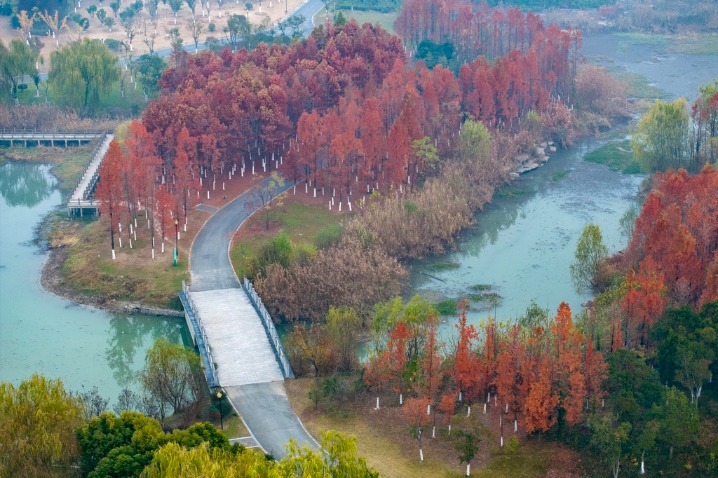 National wetland park resembles an oil painting