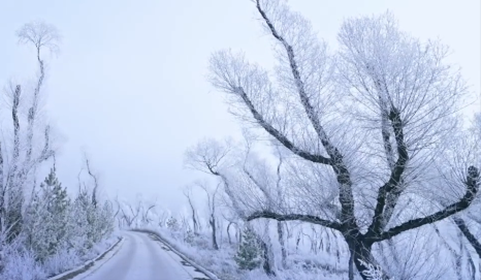 Stunning rime ice decorates Juungar Banner