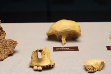 Unearthed Hualongdong fossils reveal secrets of human evolution