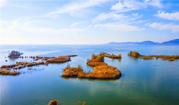 Explore charm of seasons at Dongping Lake