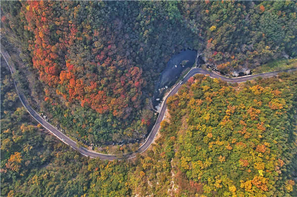 Mount Tai's autumn landscape transforms into colorful palette