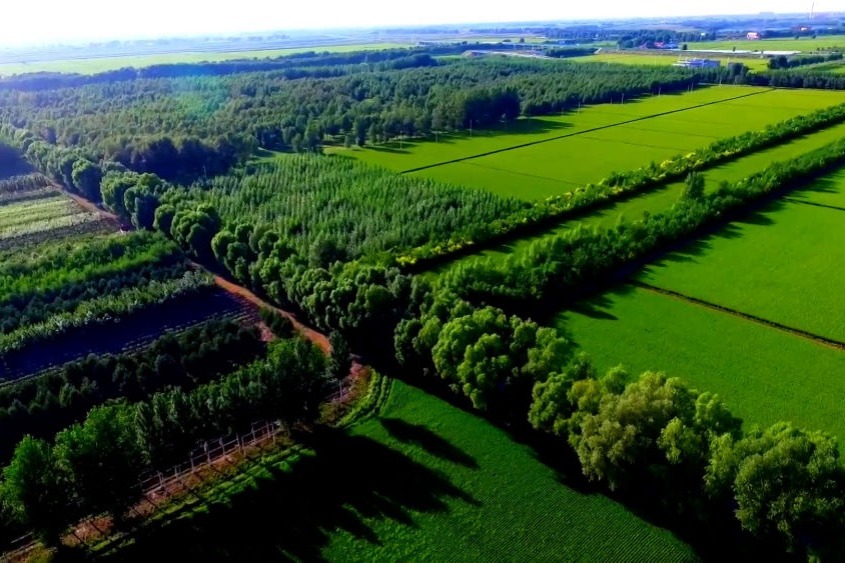 China's 53% of desertified land is under control