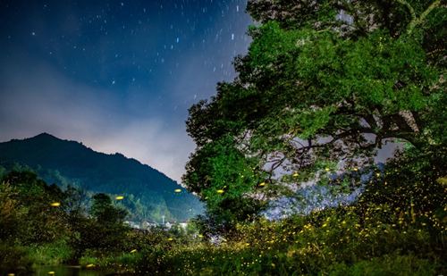 Park in Quzhou named world-class dark sky protected area