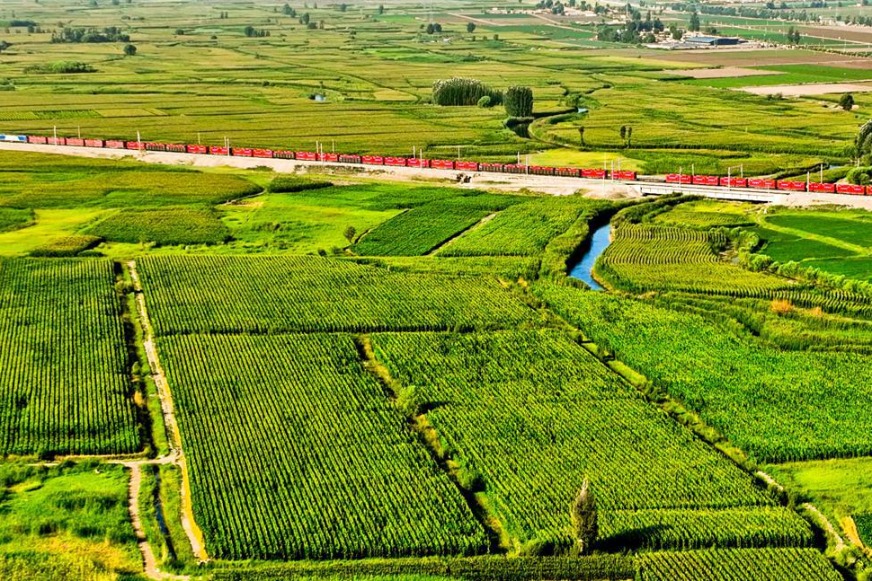 Rural development in Gansu creates gorgeous rural ecology