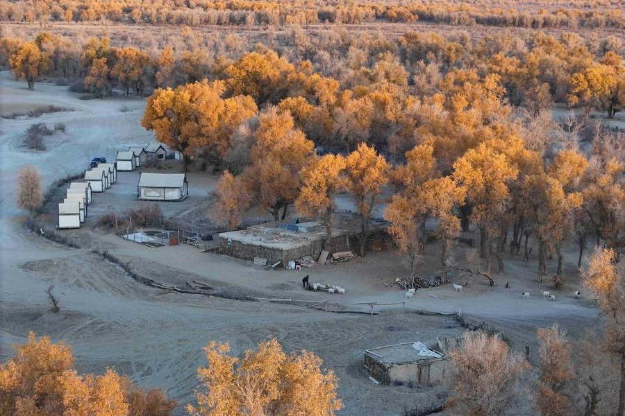 Relocated villagers in NW China's Xinjiang embrace better life