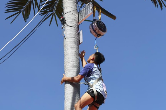 Coconut tree climbing debuts at national ethnic games