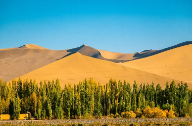 Desert hues flash in Gansu's golden season