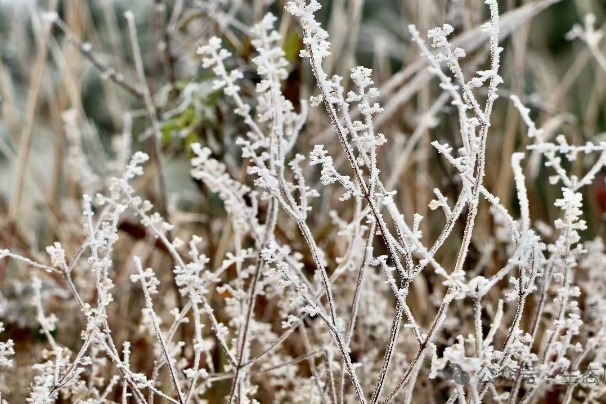 Stunning frosty hue of Ningde