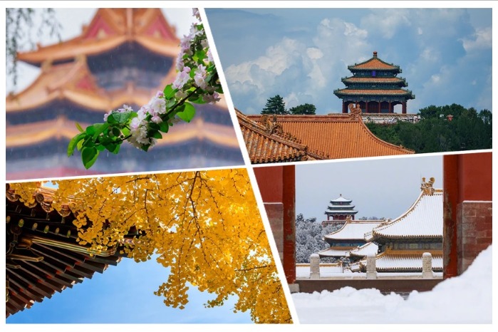 A year of beauty at the Palace Museum