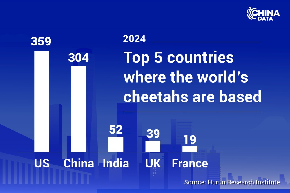 Overview of cheetah enterprises in China