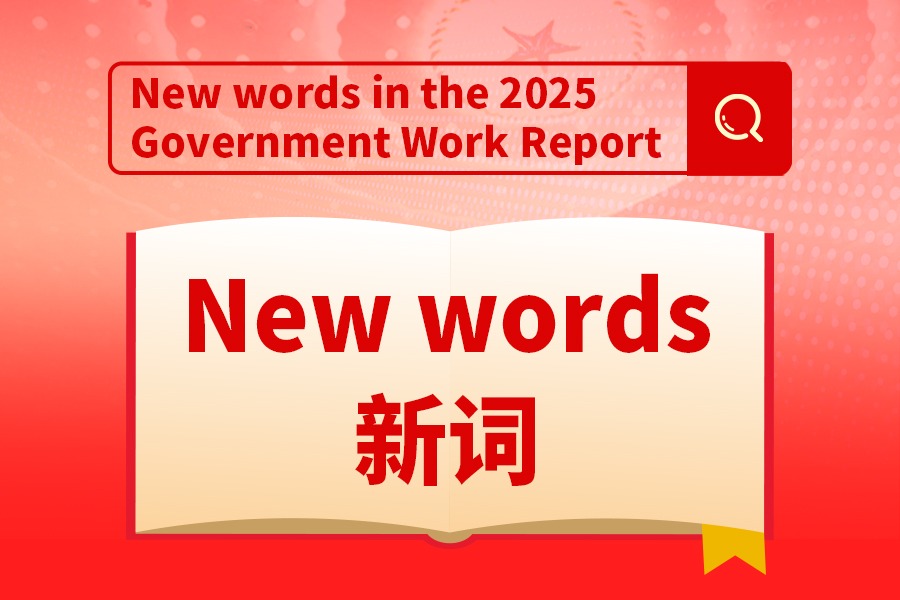 New words in the 2025 Government Work Report