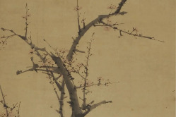 Anhui Museum's painting collection captures plum blossoms